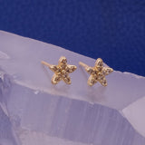Cubic Zircon Gemstone studs Gold Plated Star Shappe Tiny Earrings For Her