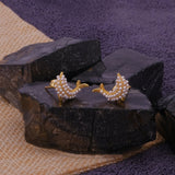 Playful Gold Plated Dolphin Earrings Ocean Inspired jewelry